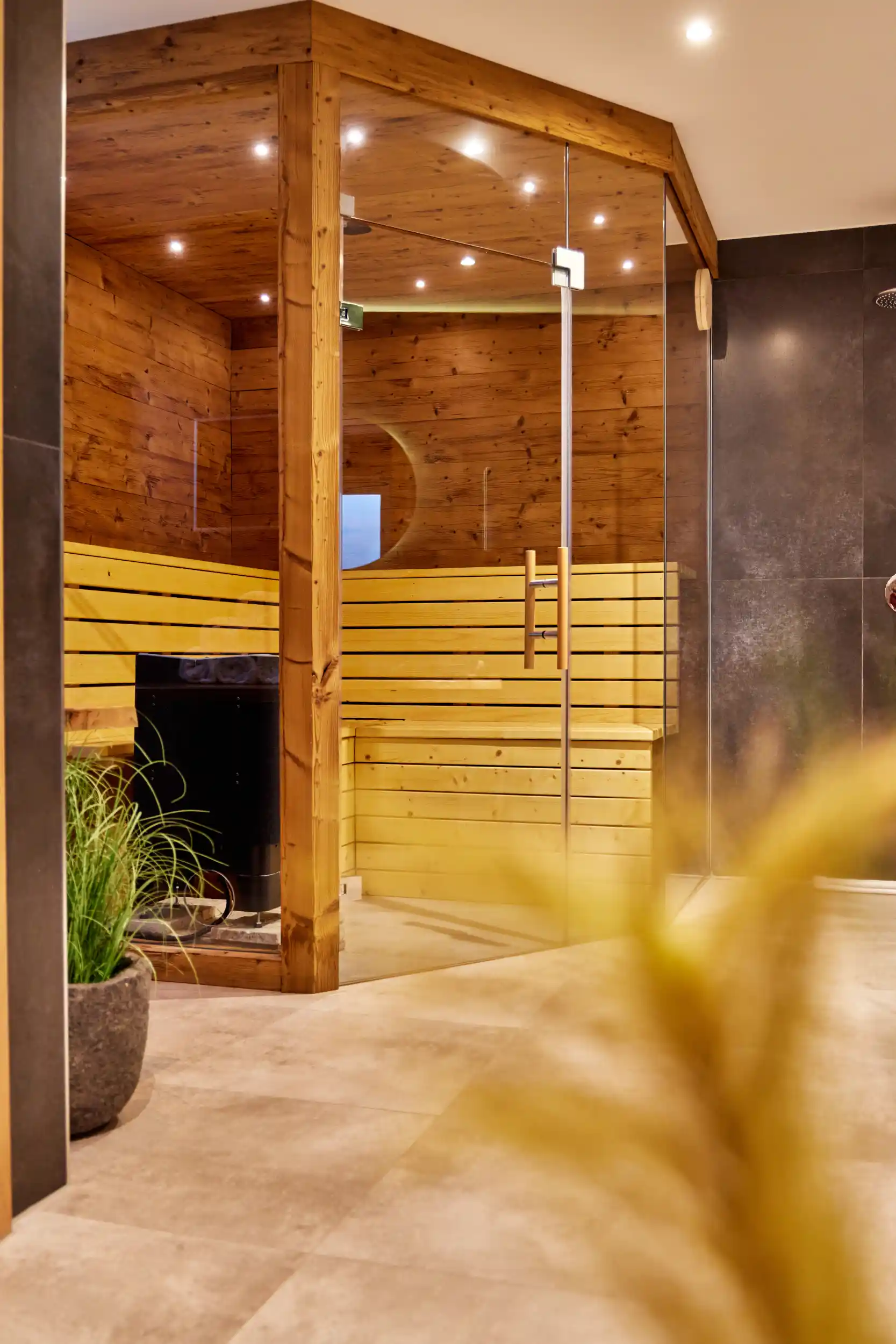 Alpi Apartments Photo 7